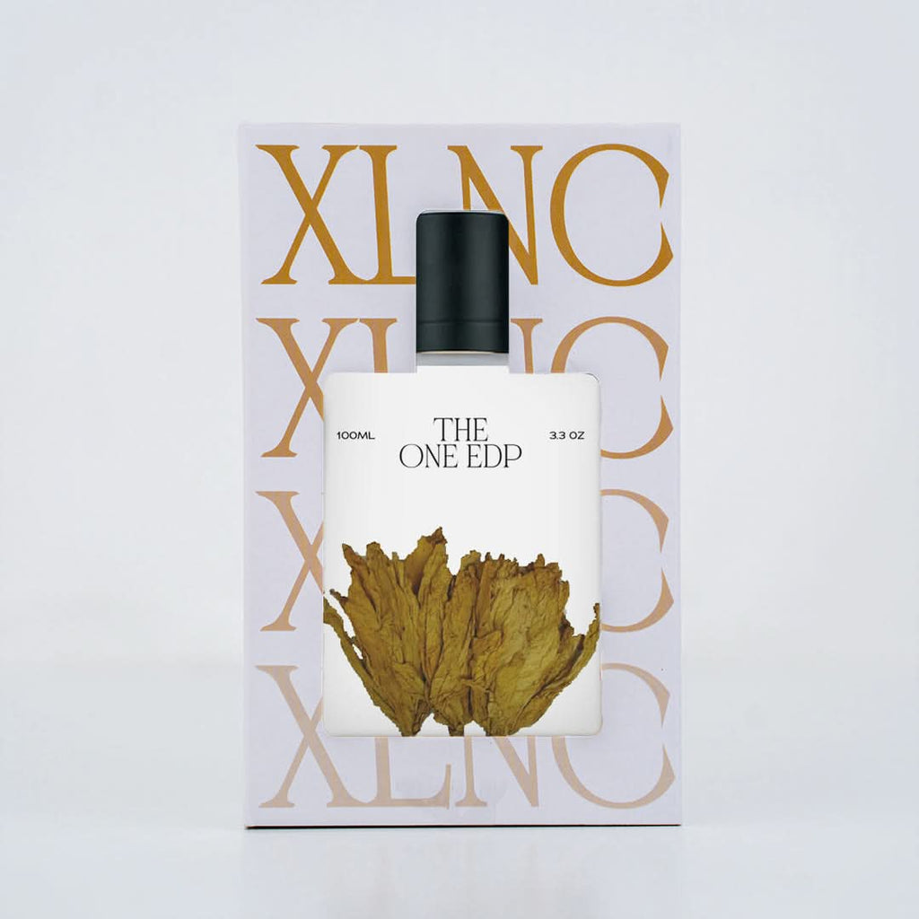 XP15 (Inspired by DandG The 0ne Edp) Worn by LeBr0n J@mes