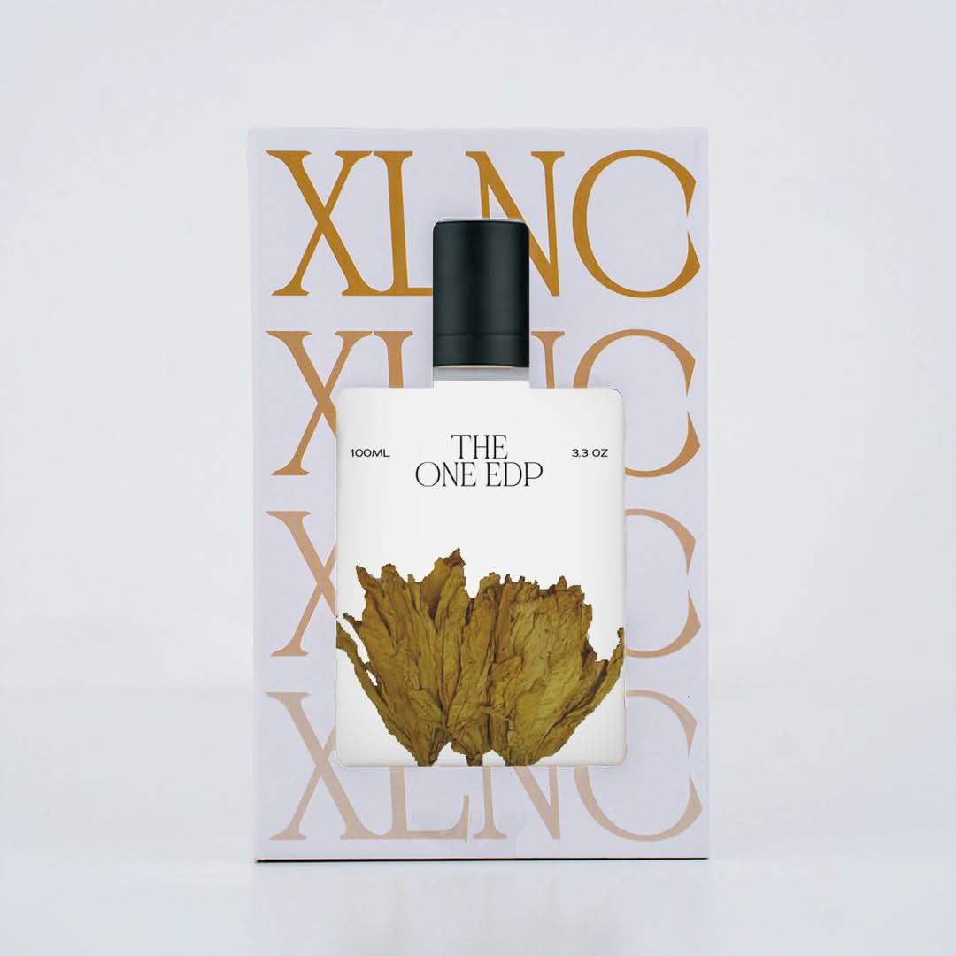 XP15 (Inspired by DandG The 0ne Edp) Worn by LeBr0n J@mes